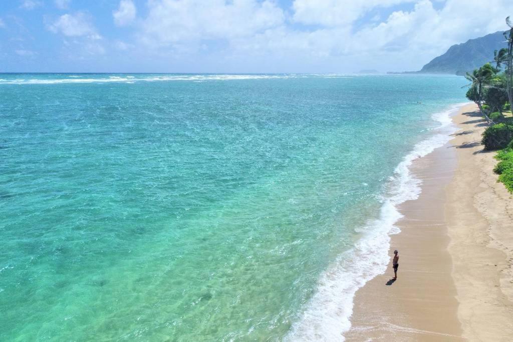 אפרטהוטל Hau'ula Pats At Punalu'U מראה חיצוני תמונה